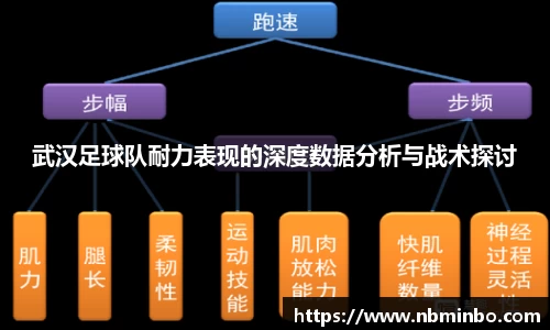 武汉足球队耐力表现的深度数据分析与战术探讨